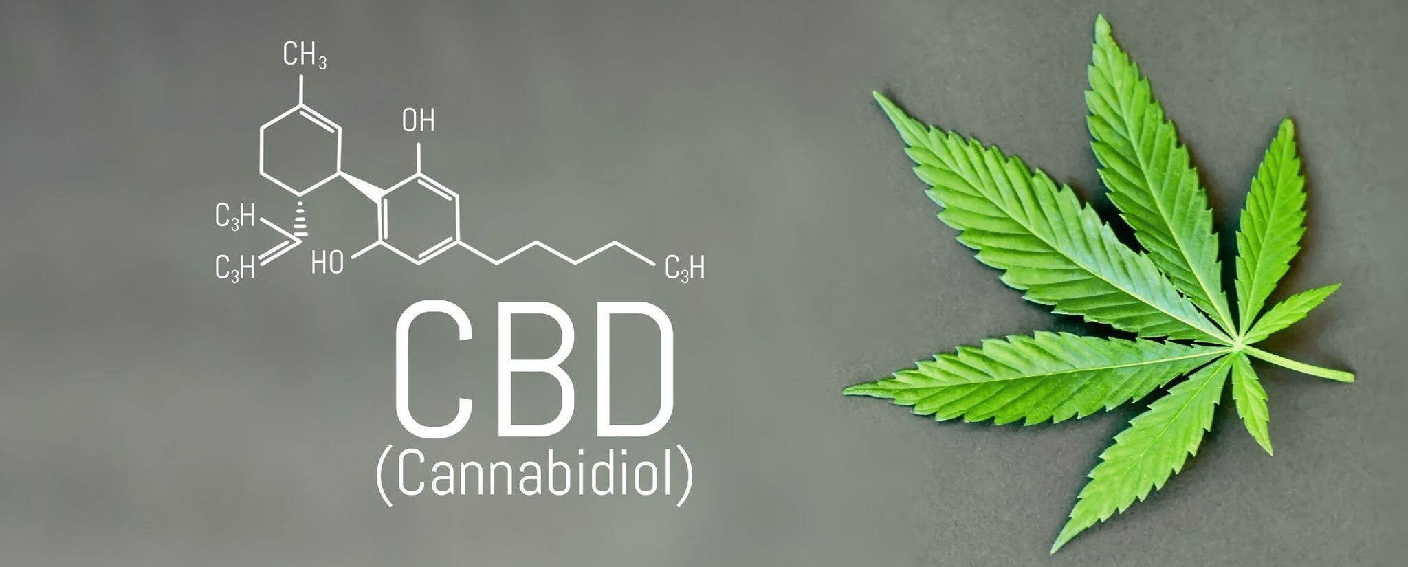 Le système endocannabinoide expliqué en profondeur.